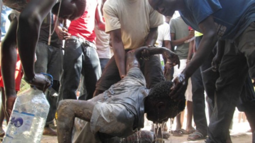 Chronique : Humanité v/s Bestialité